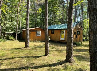 0 Allen Rd #17, Swain, NY 14884