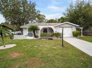 909 Balmoral Pl, Valrico, FL 33594
