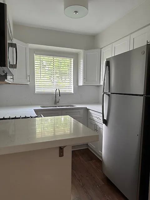 Kitchen Refrigerator