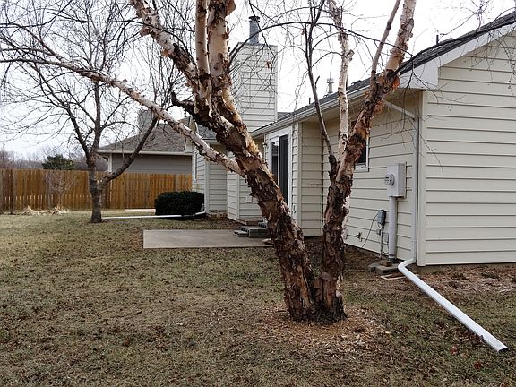 Large backyard with mature trees