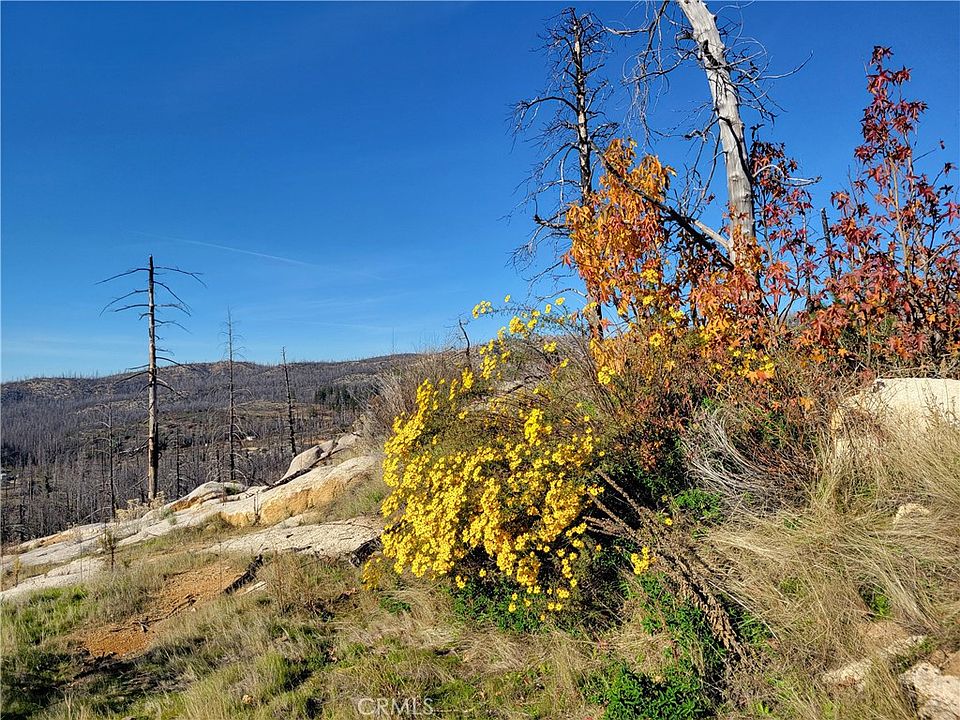 1st image of 161 Shadow Creek Rd