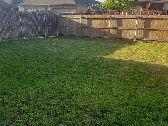 Back yard