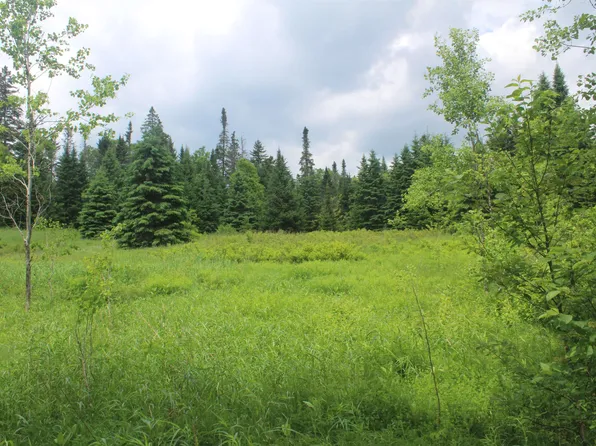 0 Cobb Road, Walden, VT 05873