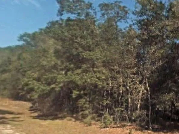 9218 N Rhine Way, Citrus Springs, FL 34434