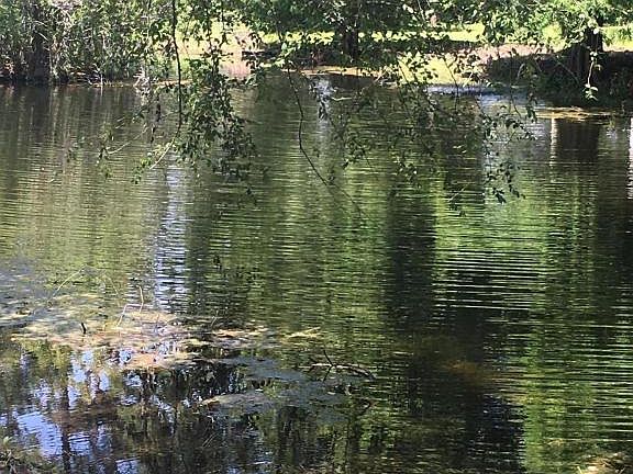 3rd image of 2760 County Road 220