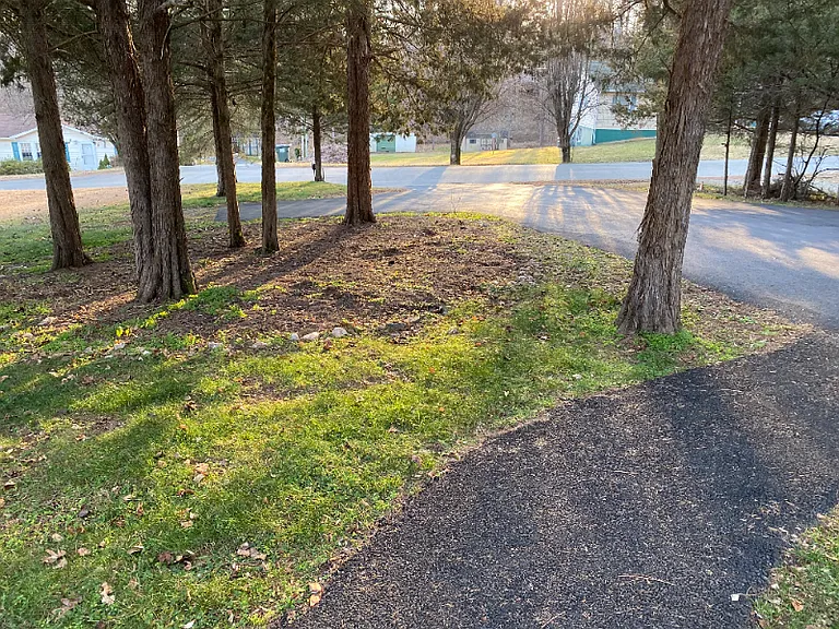 296 Morning Glory Rd — Photo 4
