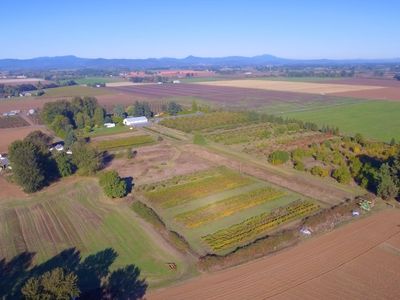 94581 Willamette Dr, Junction City, OR, 97448