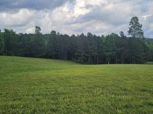 20 John Henry Lewis Rd Unit 20, Dunlap, TN 37327