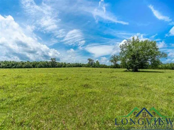 Fm 2659, Big Sandy, TX 75755