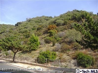 pine glen