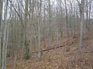 0 Buff Creek Rd, Hurricane, WV 25526