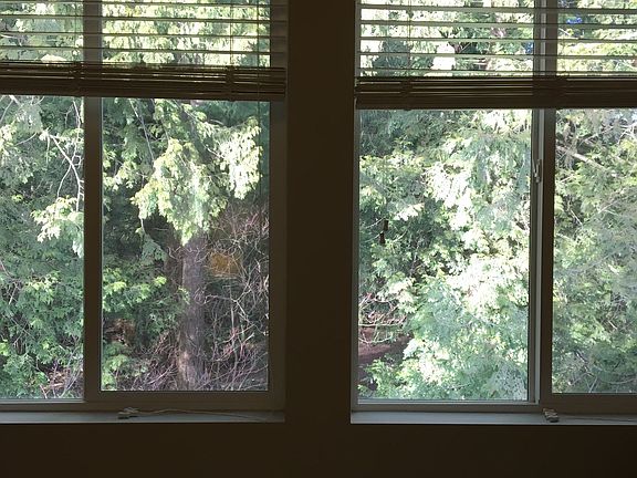 View from master bdrm is lush greenery & private