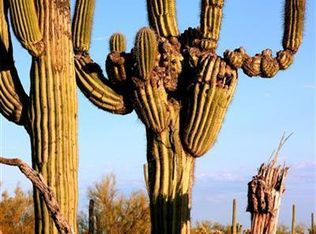 0 S Staghorn Ln, Marana, AZ 85658