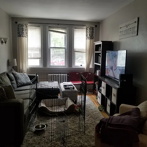 23 Lanark Rd #4 Photo 1