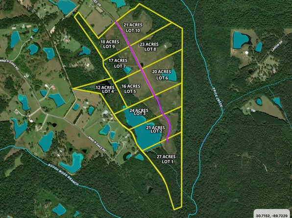 Peach Tree Dr Lot Wp009, Carriere, MS 39426