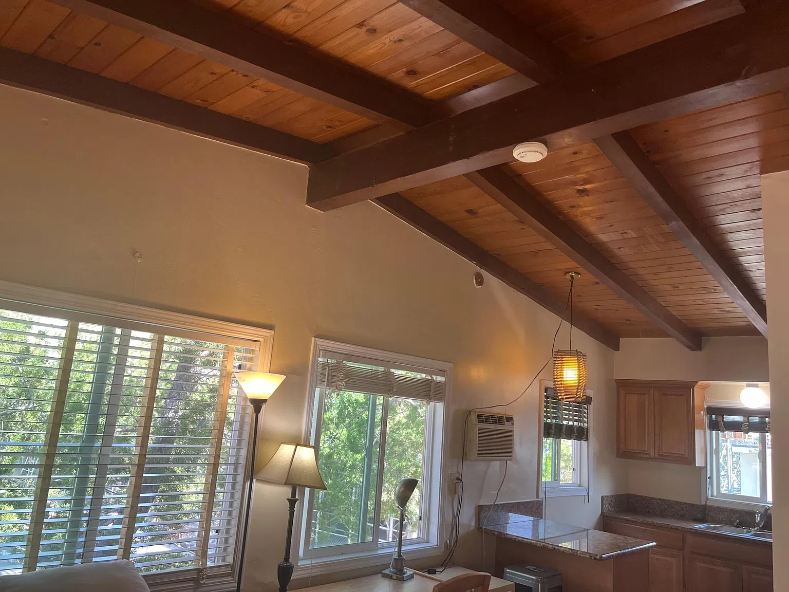 Studio, 699 sqft, $2,395 — Photo 3