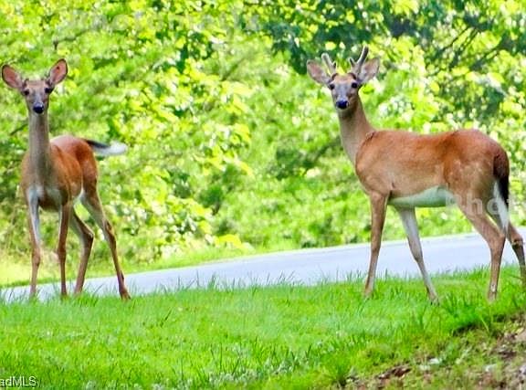 48th image of this home