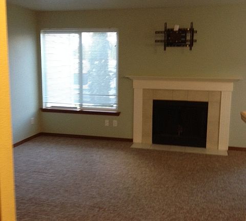 Living room with fireplace