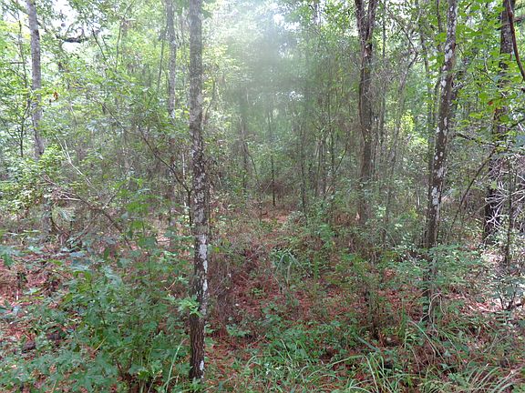 pick homesite 5 lots/1.07 ac