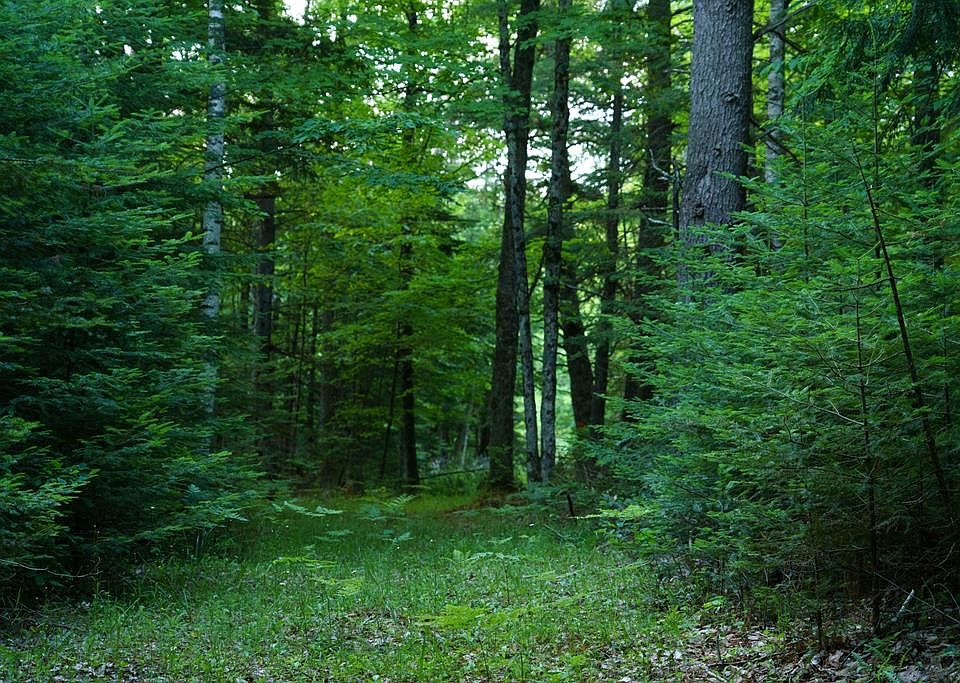 1st image of LOT 5 County Road F