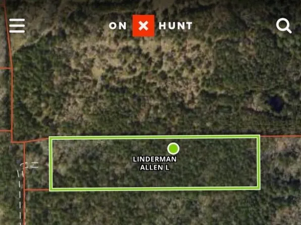 Tbd Roy Webb Rd, Huntsville, TX 77320