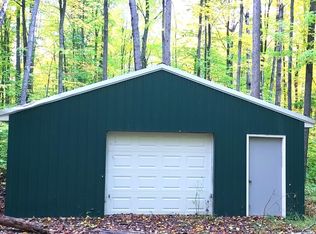16173 Wild Life Rd, Wolverine, MI 49799