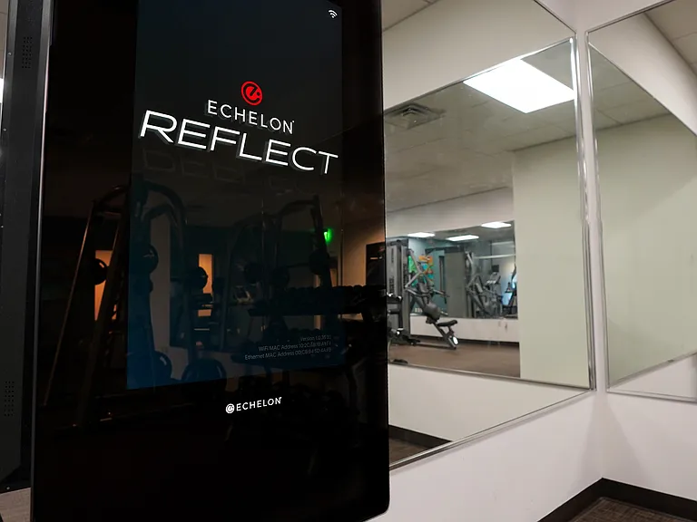 Reflect Mirror