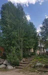 2 bed, $4,000 — Photo 1