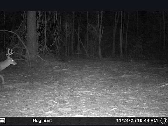 2nd image of 0 Hike Lake Rd