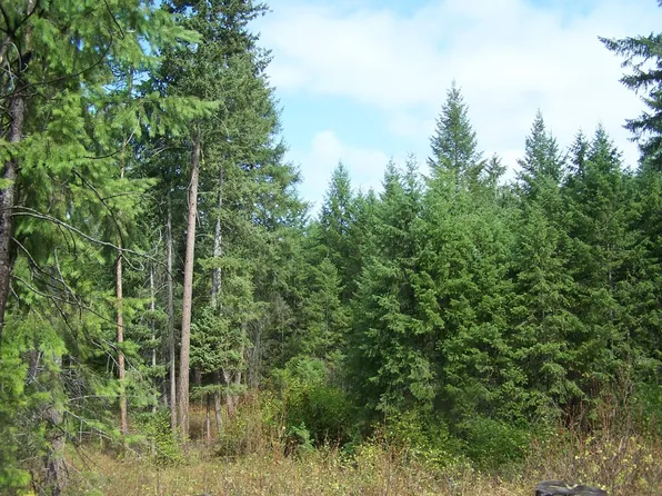 344X Kingsbury Lake Way, Kettle Falls, WA 99141