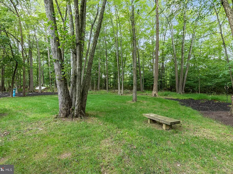 3125 Hannahs Pond Ln — Photo 46