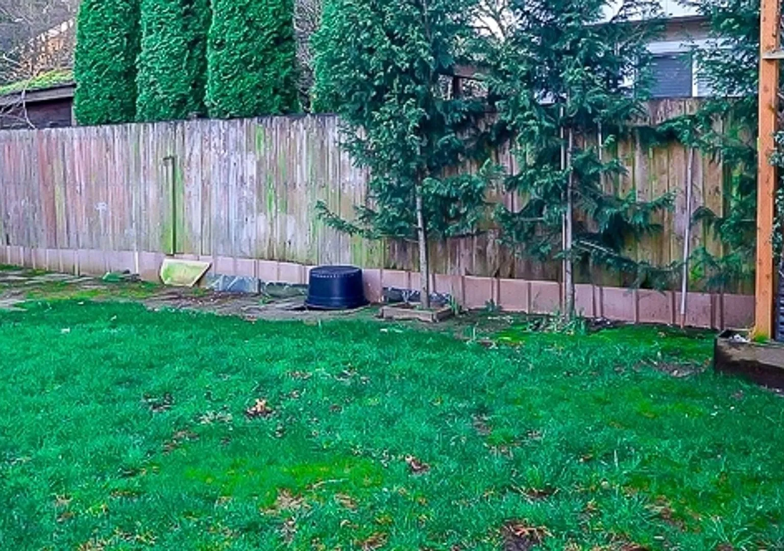 West Seattle Living, Dialed In — Photo 2
