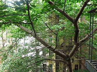 Rented by City & Suburban