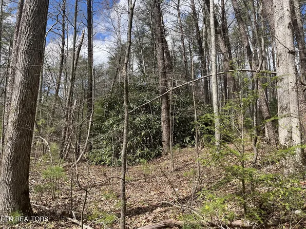 0 Highway 68, Tellico Plains, TN 37385