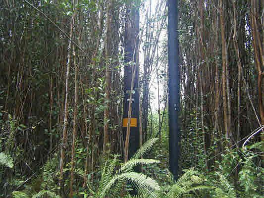 1st image of Road 11