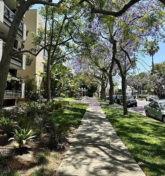 324 N Palm Dr #206 — Photo 39