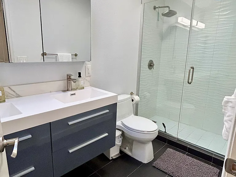 Master bathroom with dual vanity sink and rainshower. Dimmable lighting and skylight.