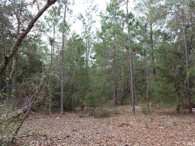 268 Simpson Dr, Interlachen, FL, 32148