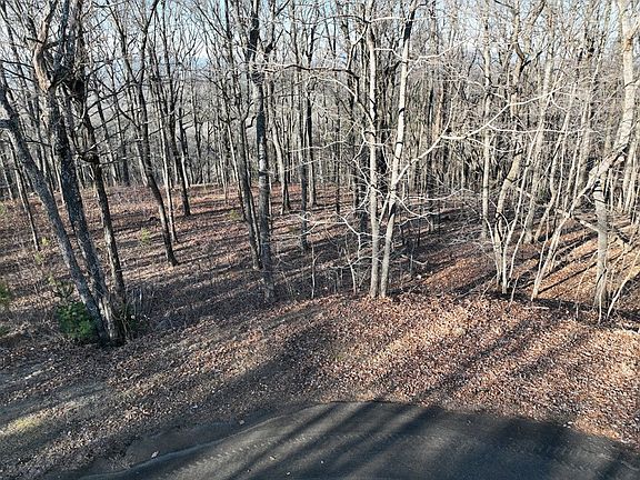 2nd image of 95 Northland Trl