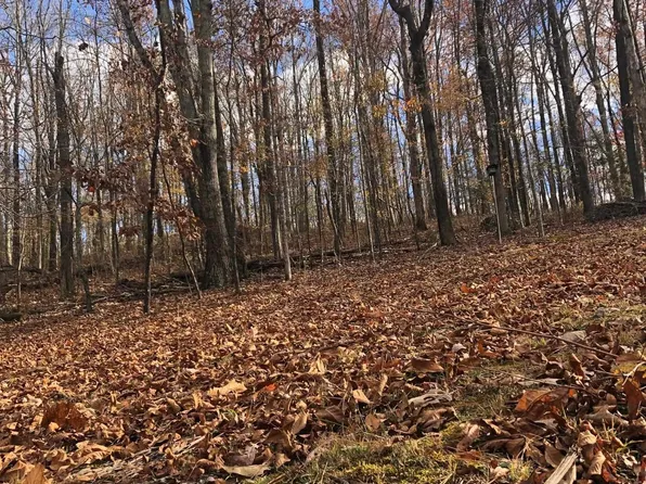 56727 Us Highway 231 N Highway Acreage, Oneonta, AL 35121