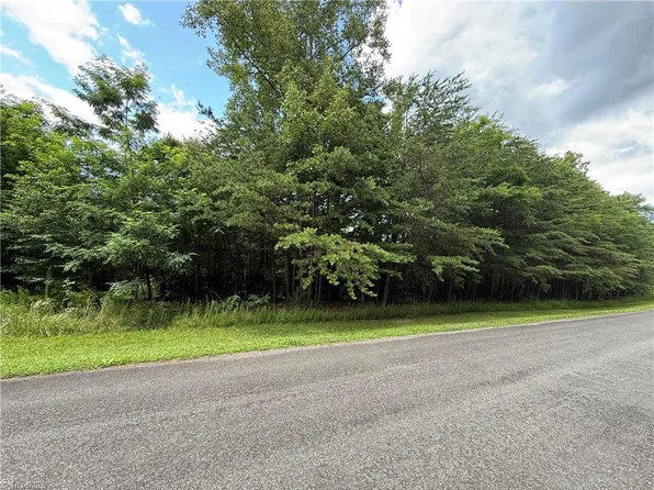 0 Apple Blossom Ln #15, Westfield, NC 27053