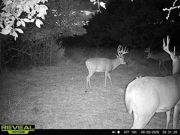 3rd image of 0 201st Rd