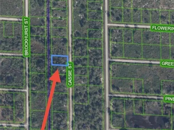 940 Cassie St, Lake Placid, FL 33852