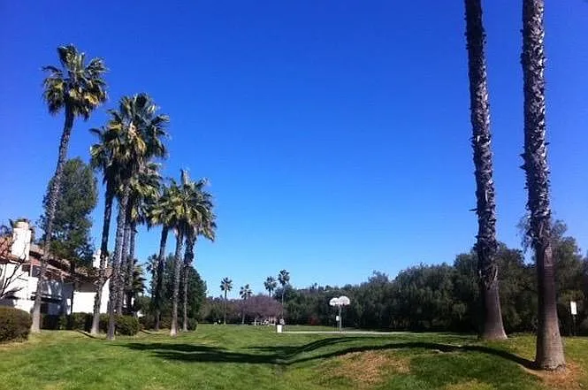 2 bed, 988 sqft, $3,100 — Photo 2