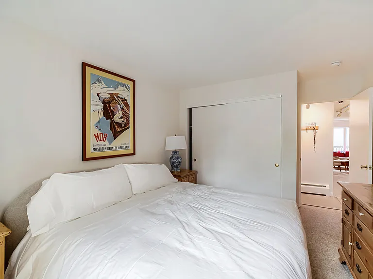 434 Gore Creek Dr #D-2 — Photo 15