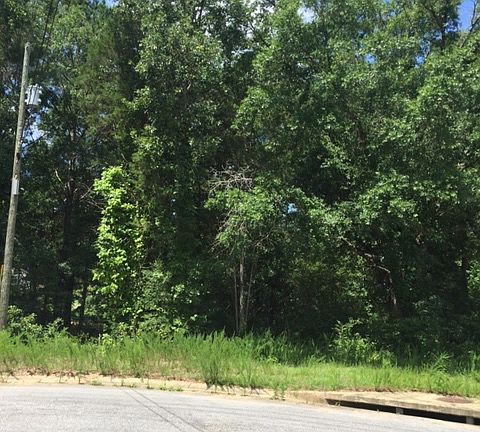 3rd image of 15 Ramsey Dr