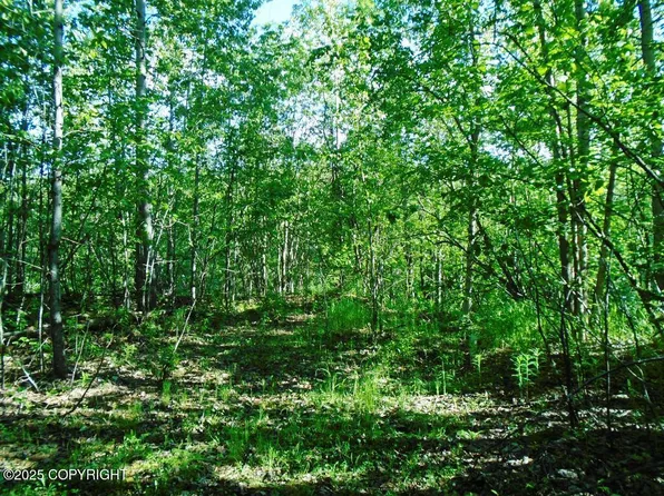 Town Road 3 Park Dr, Chugiak, AK 99567
