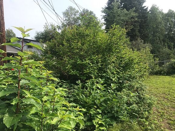 5th image of 495 Sprucewood Rd