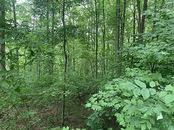2nd image of 5 Deep Spring Ln Lot 5