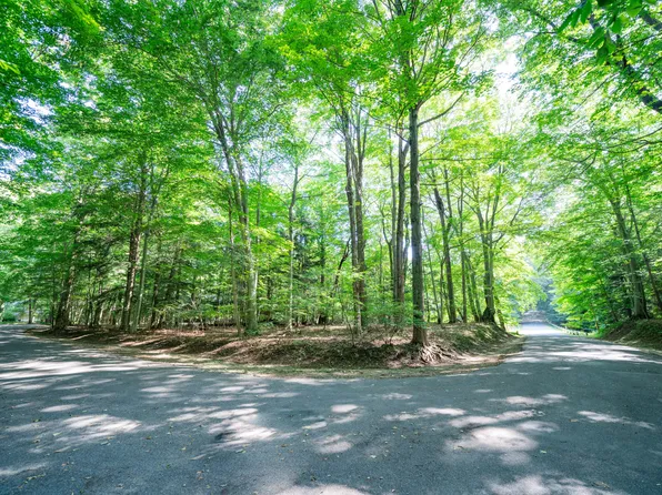 Vl Sassafras Dr Lot 28, South Haven, MI 49090